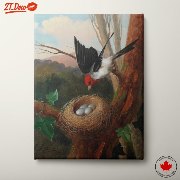 Red-Headed Bird Nesting in Tree