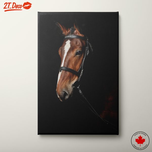 Majestic Horse Portrait on Black Background
