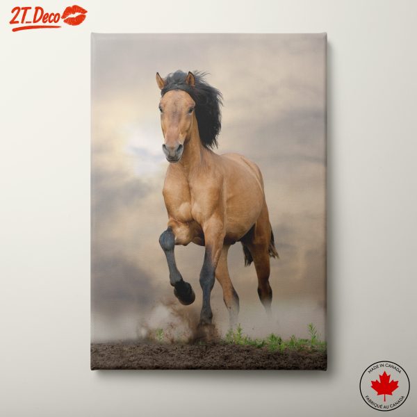 Majestic Running Horse Wall Art