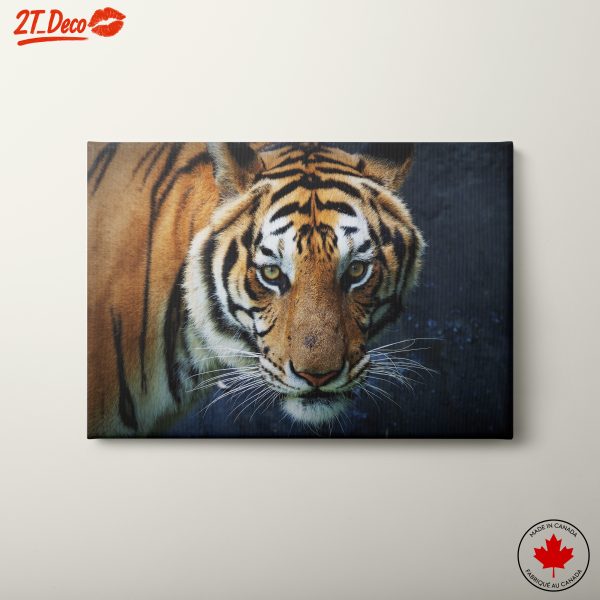 Stunning Tiger Wall Art