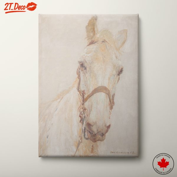 Elegant White Horse Portrait Art