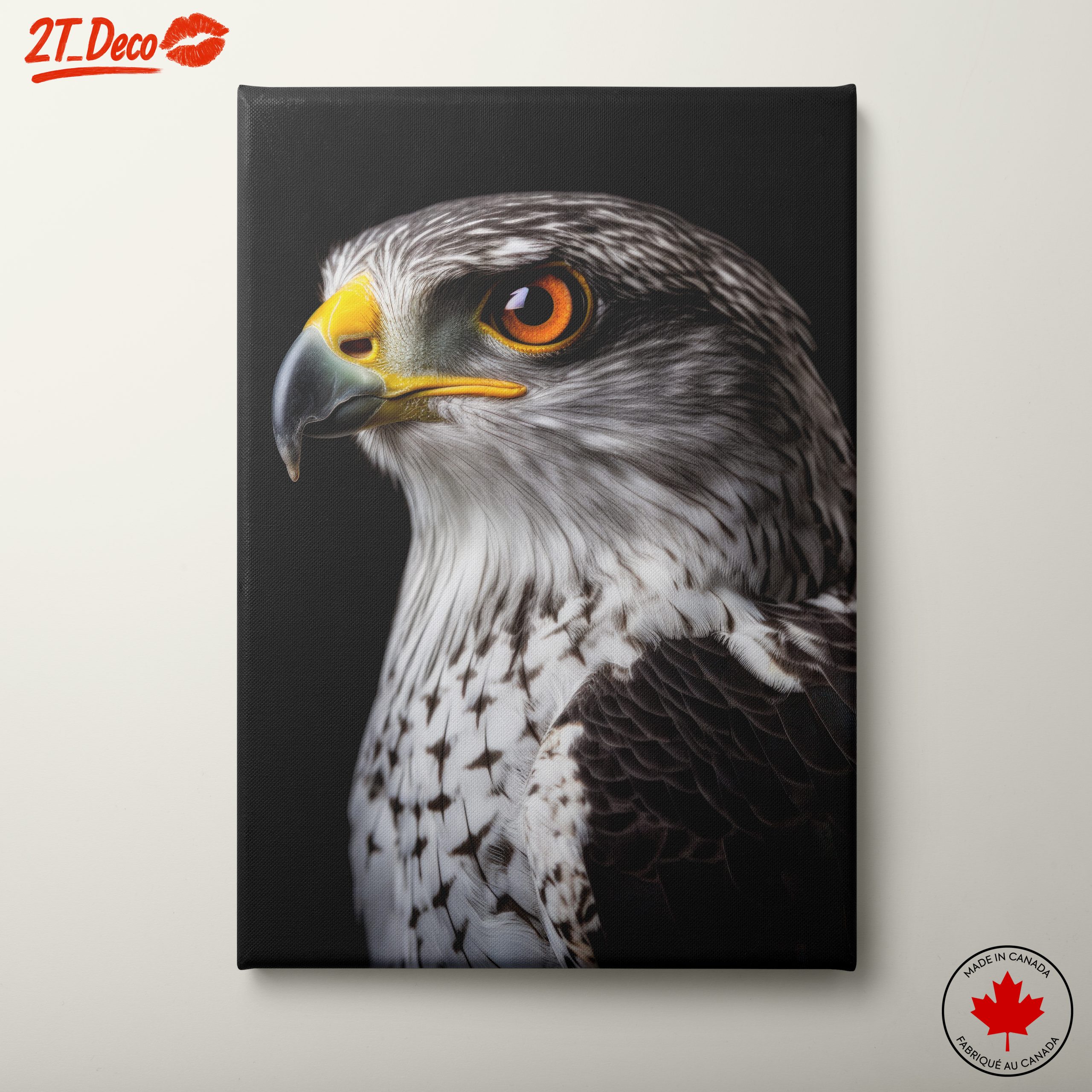 Majestic Eagle Portrait on Black