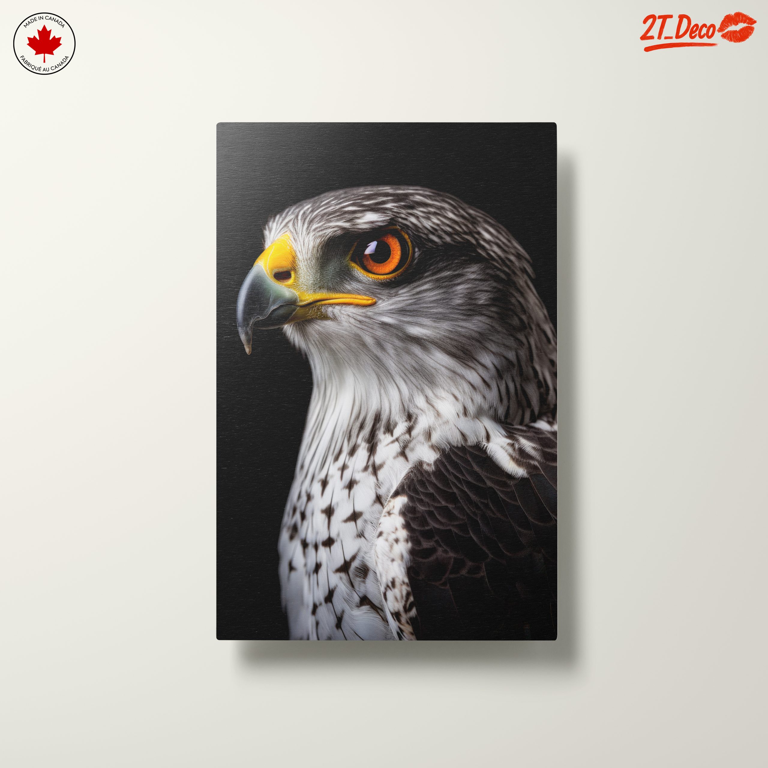 Majestic Eagle Portrait on Black - Image 10