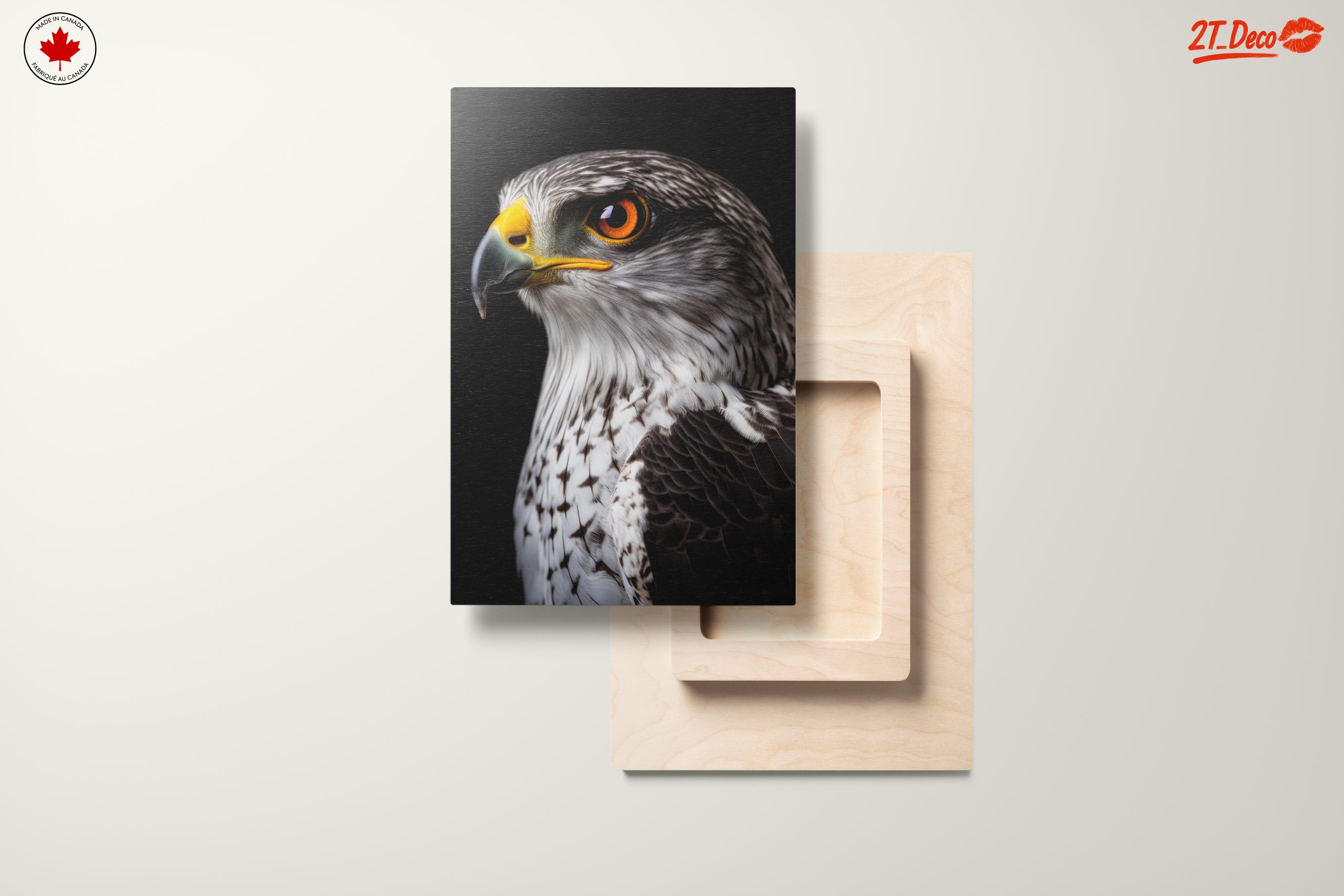 Majestic Eagle Portrait on Black - Image 11