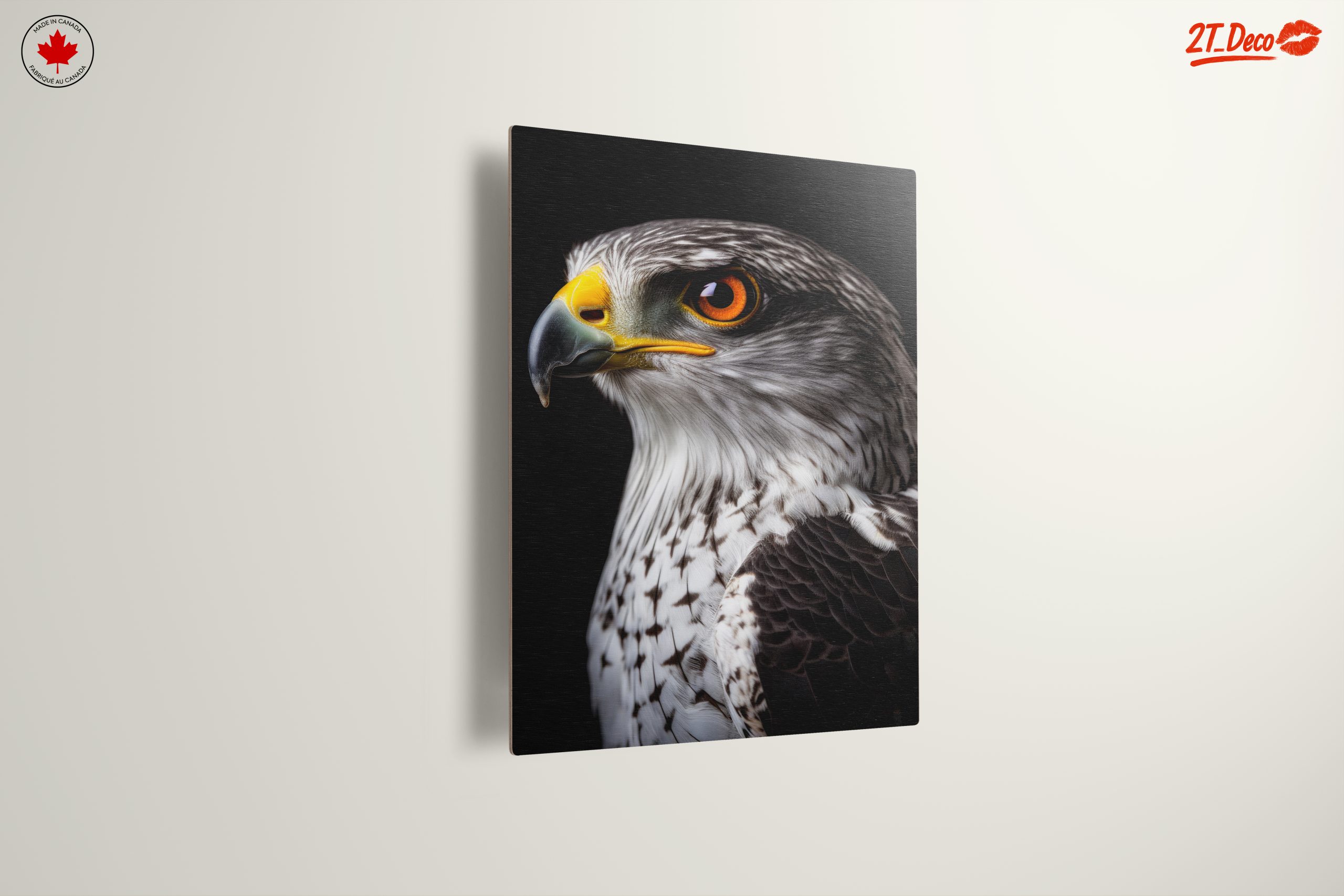 Majestic Eagle Portrait on Black - Image 13