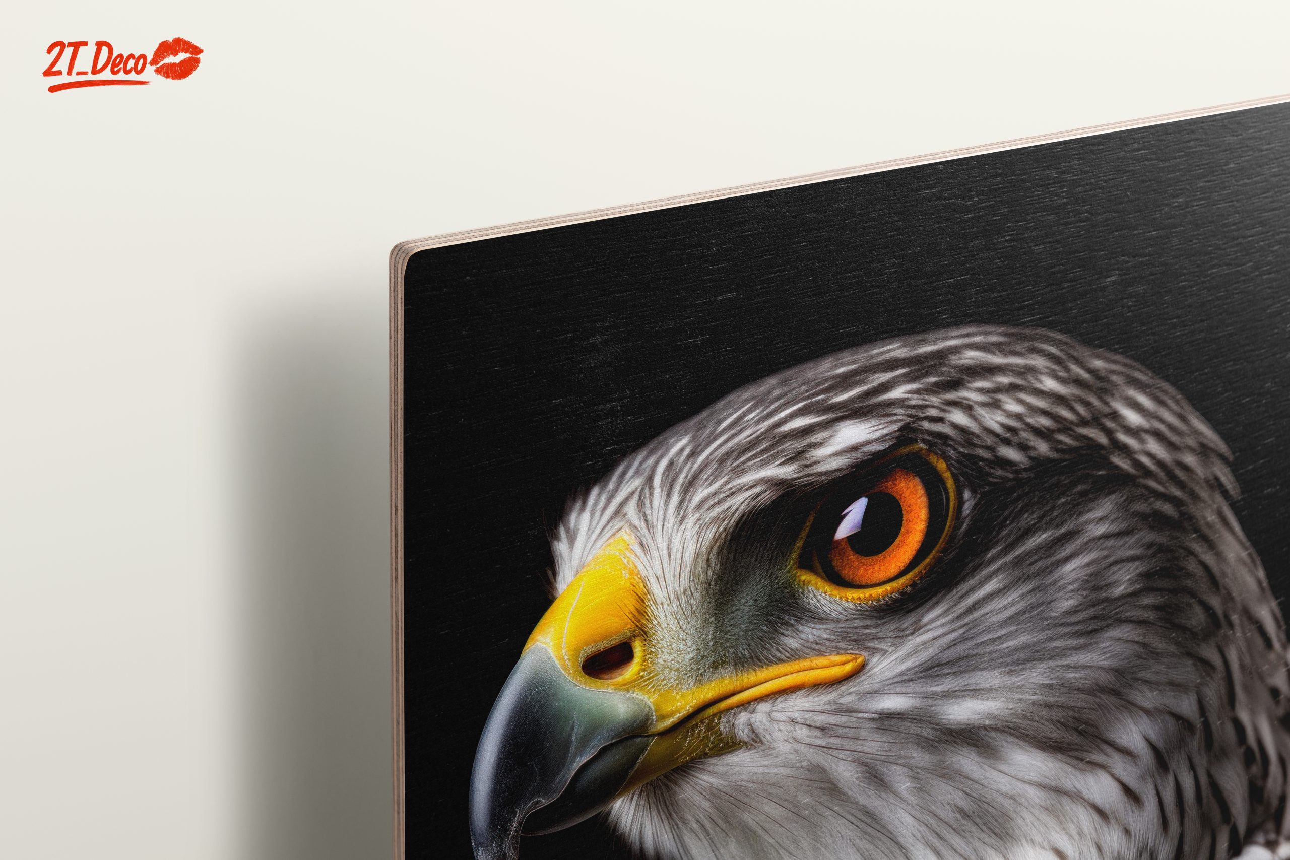 Majestic Eagle Portrait on Black - Image 15
