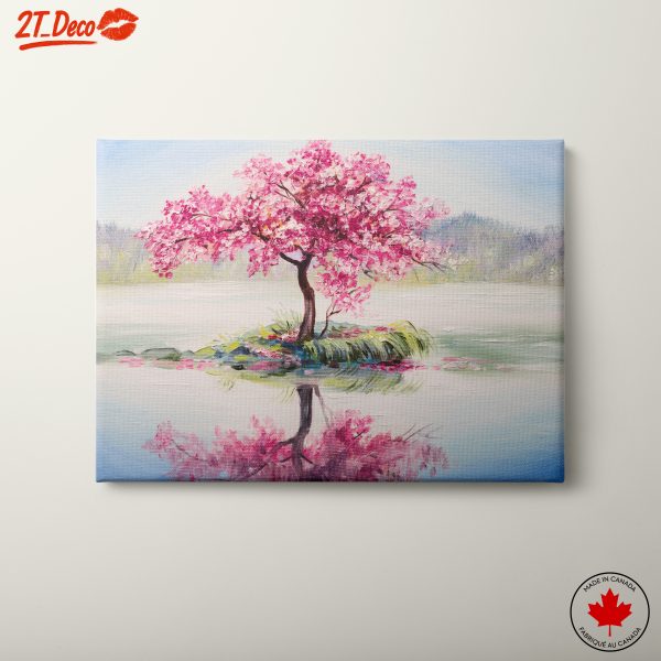 Blooming Cherry Blossom Tree Reflection