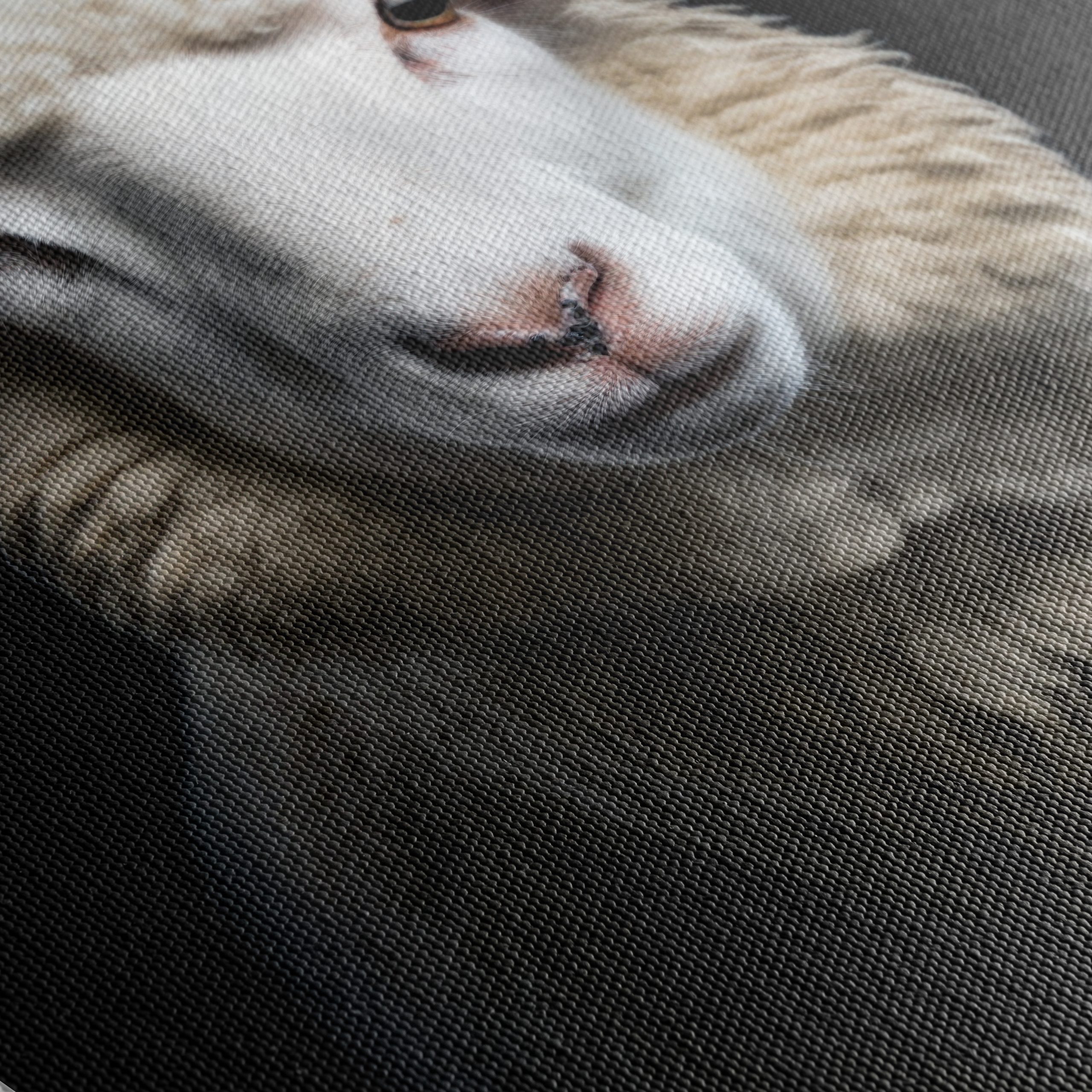 Realistic Portrait of a Sheep - Image 5
