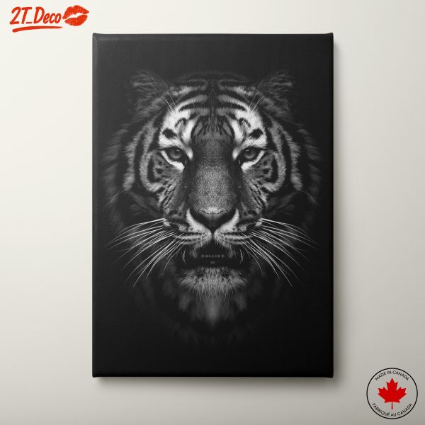 Majestic Black and White Tiger Portrait