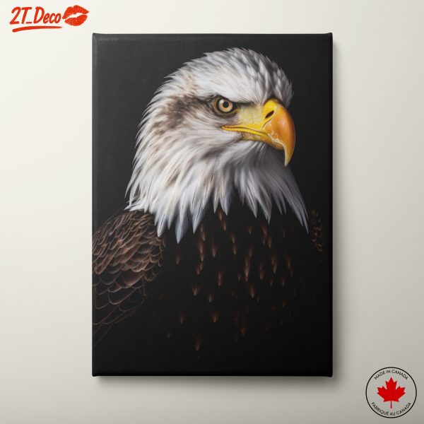 Majestic Bald Eagle Portrait