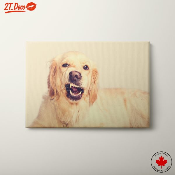 Golden Retriever Dog Wall Art
