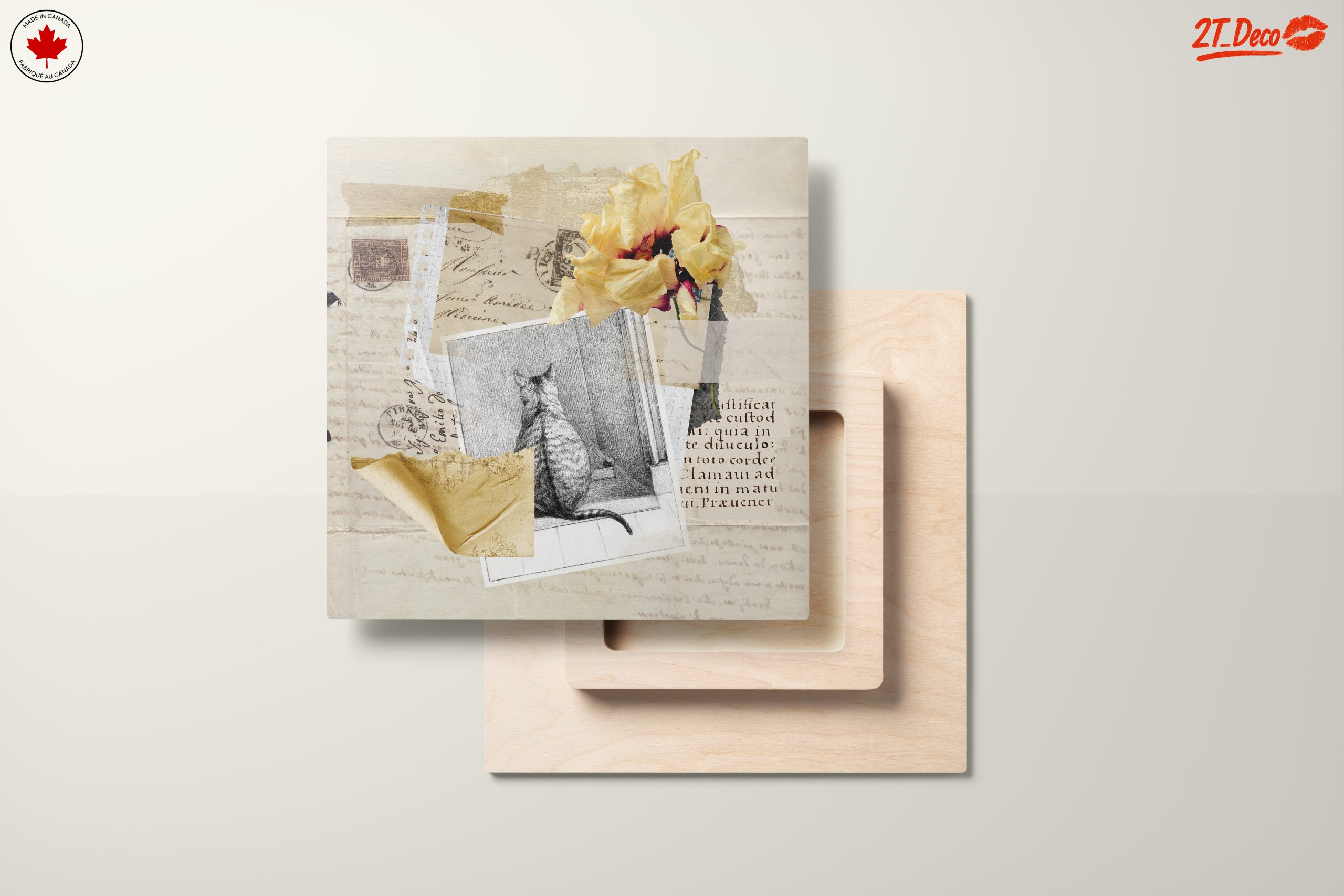 Charming Cat Collage with Floral Accents - Image 11