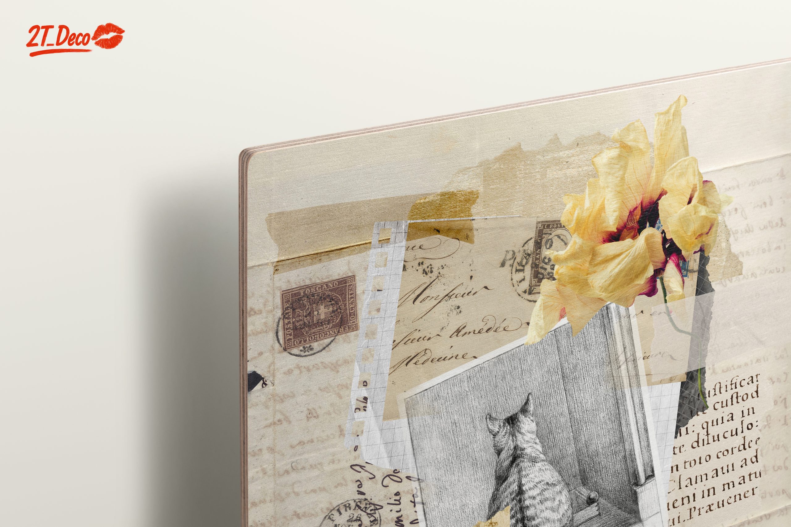 Charming Cat Collage with Floral Accents - Image 15