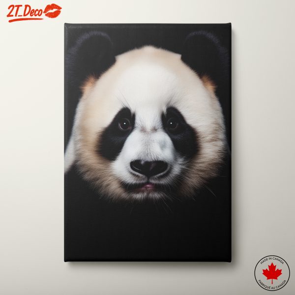 Stunning Panda Portraits for Wall Art