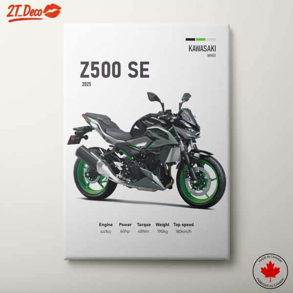 Kawasaki Z500 SE Technical Illustration