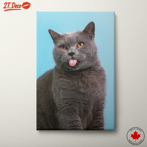 Playful Cat with Bright Blue Background