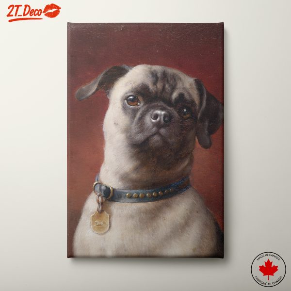 Pug Portrait on Rich Red Background