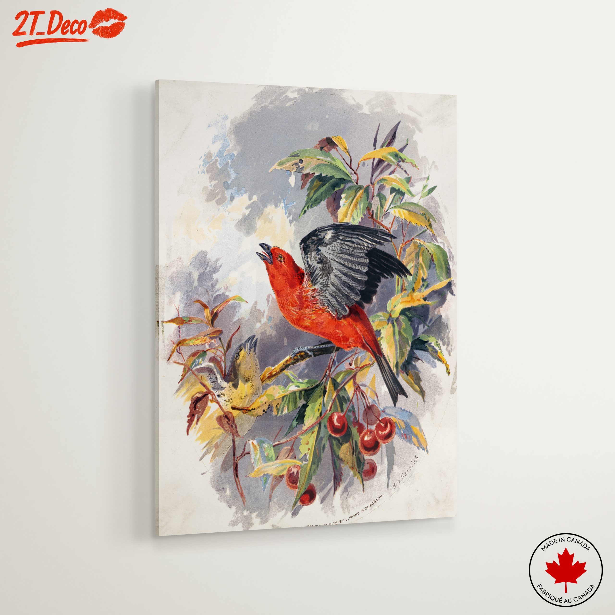 Vibrant Red Bird Perched on Cherry Branch - Image 6