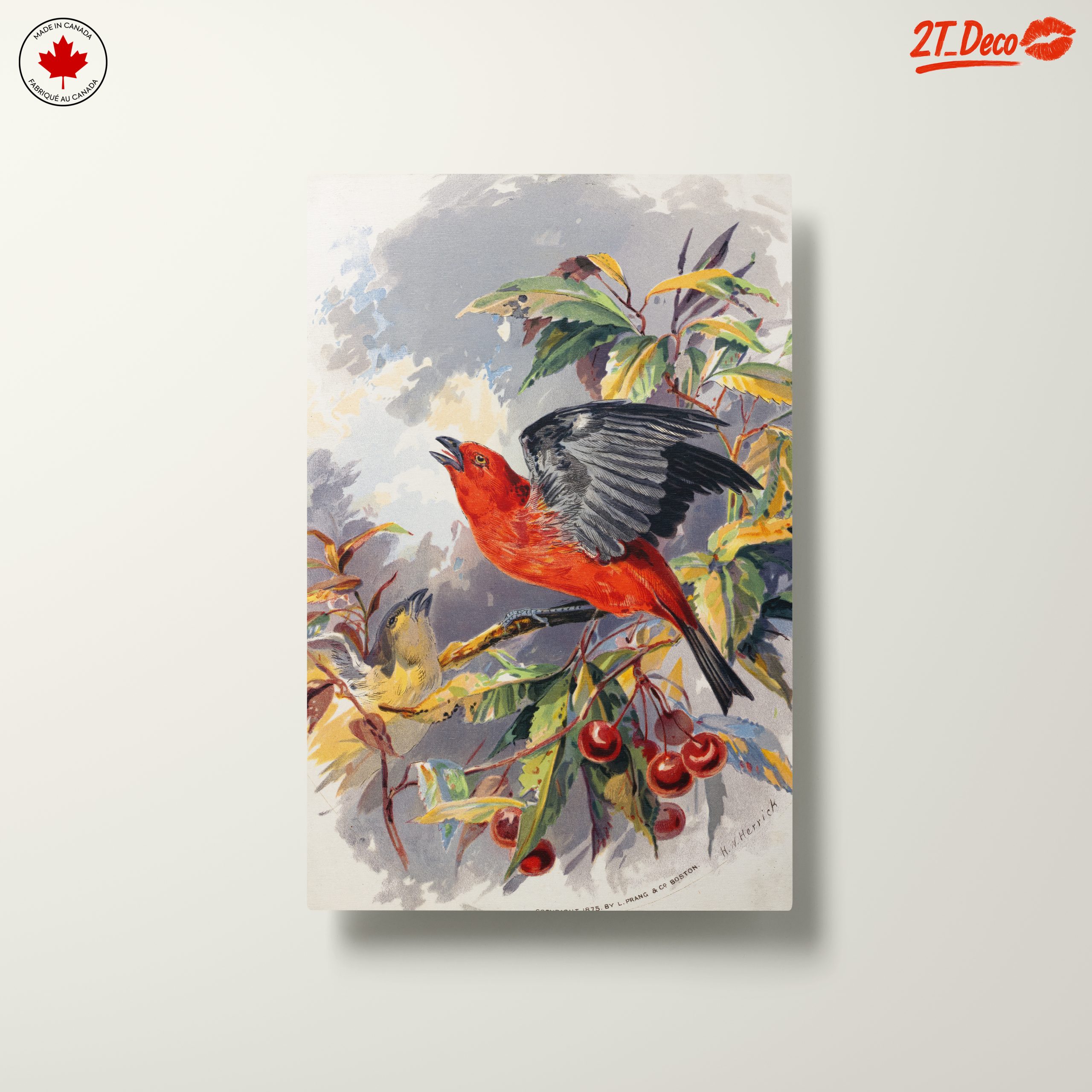 Vibrant Red Bird Perched on Cherry Branch - Image 10