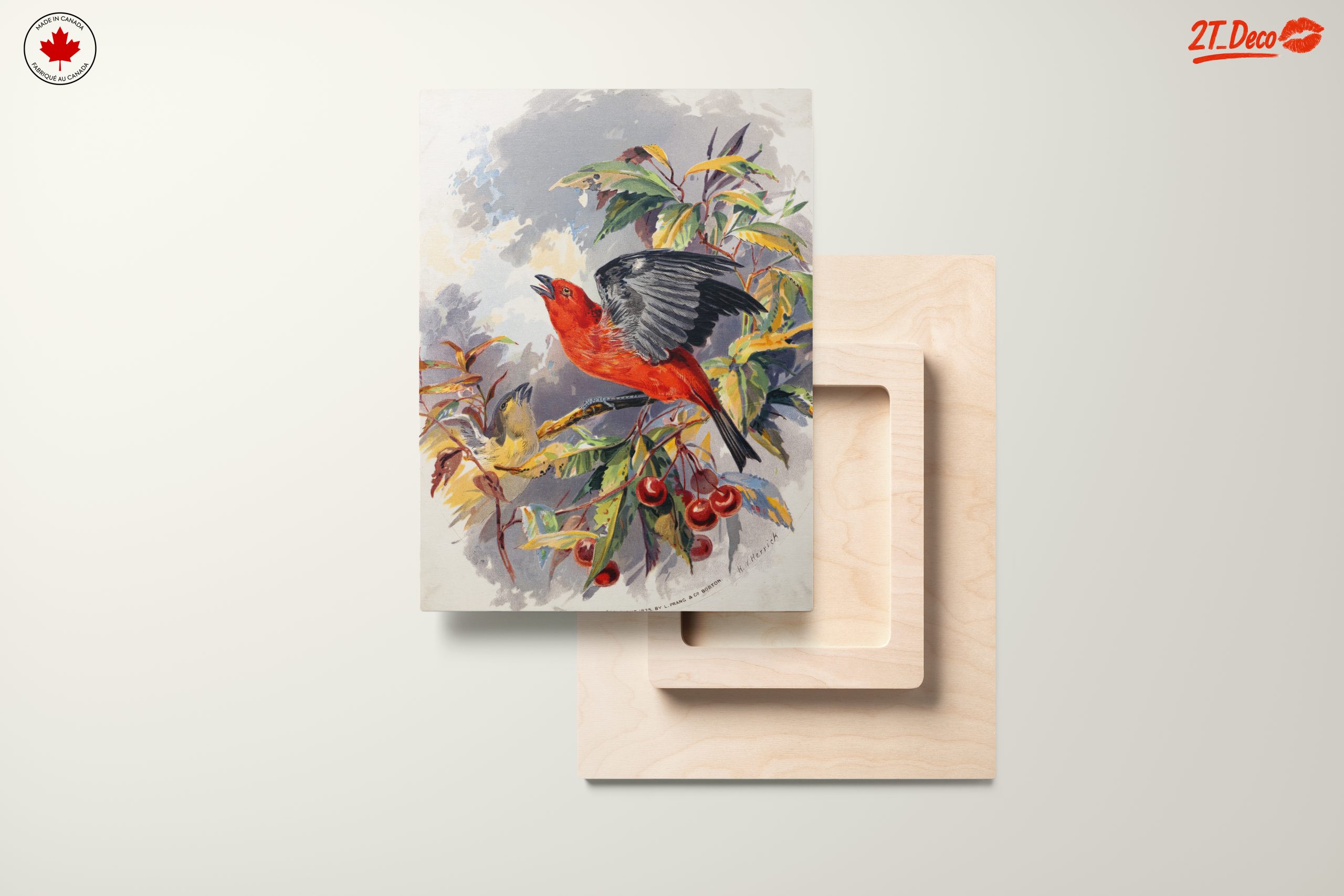 Vibrant Red Bird Perched on Cherry Branch - Image 11