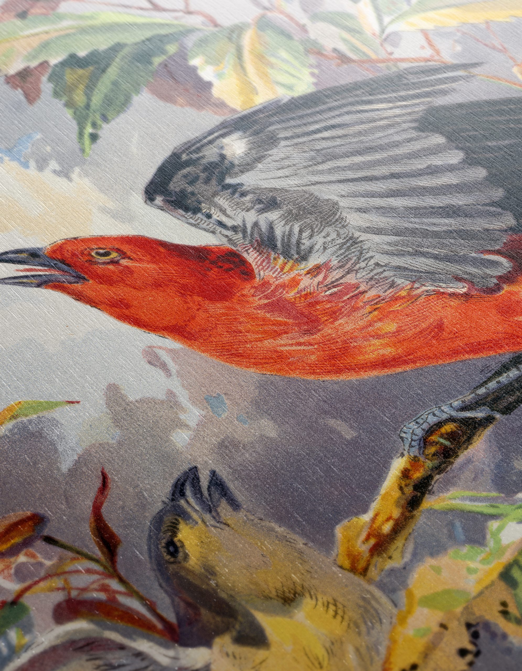 Vibrant Red Bird Perched on Cherry Branch - Image 12