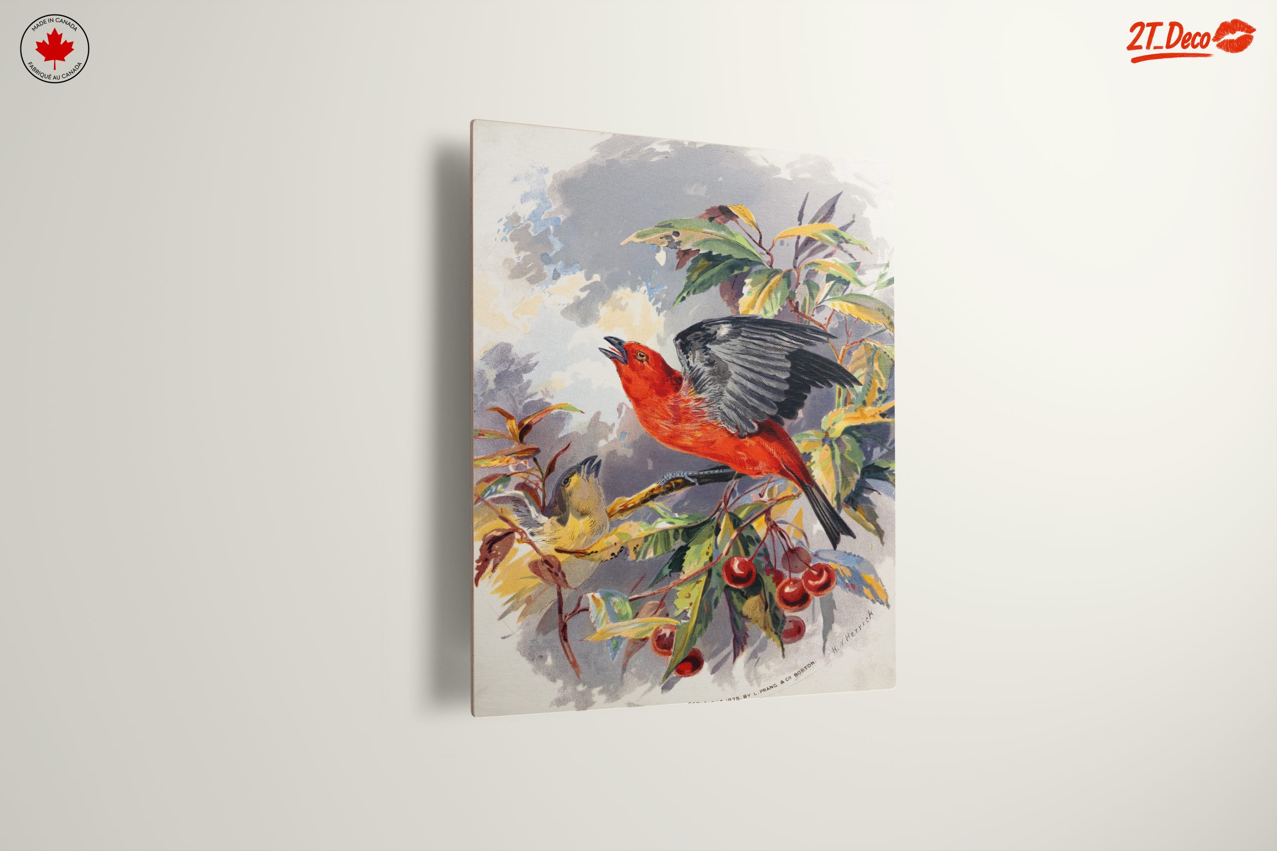 Vibrant Red Bird Perched on Cherry Branch - Image 13
