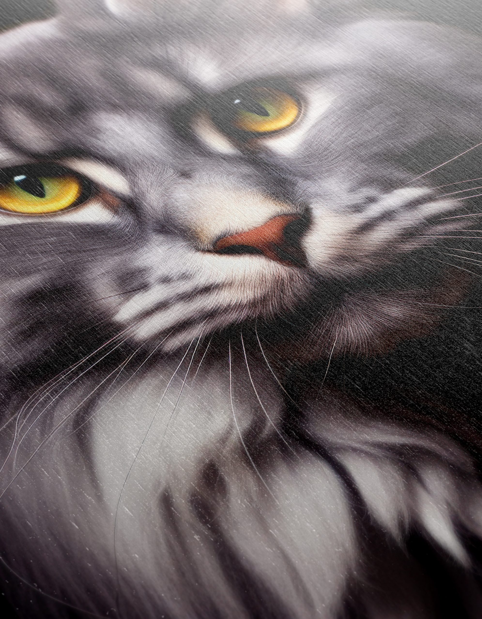Majestic Feline Portrait on Black Background - Image 12