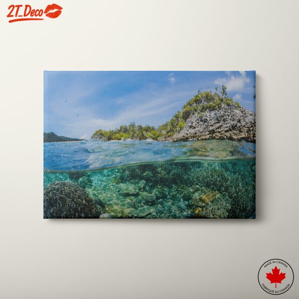 Underwater Landscape with Coral and Rocky Shore
