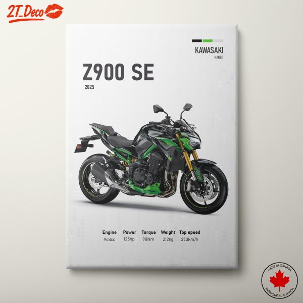 Kawasaki Z900 SE 2025 Motorcycle Art