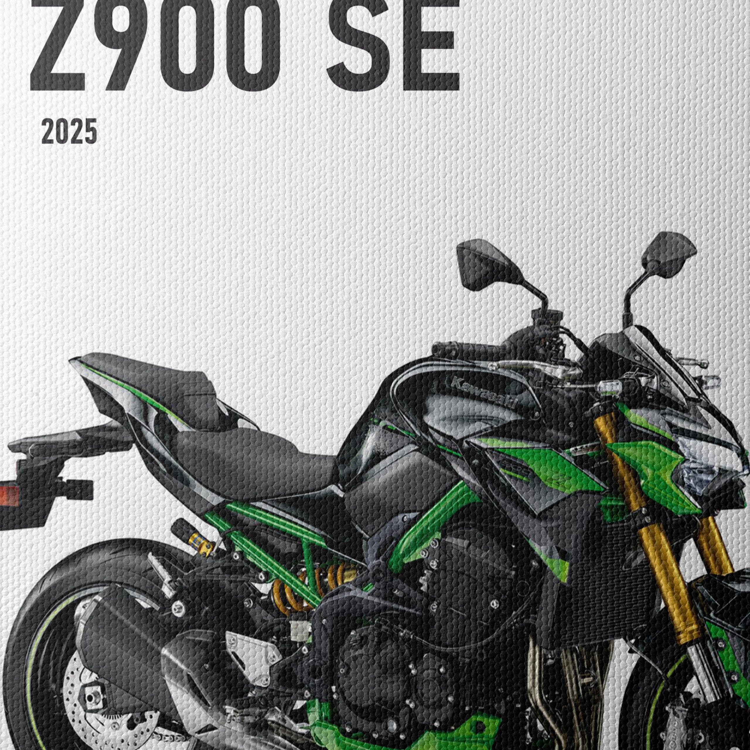 Kawasaki Z900 SE 2025 Motorcycle Art - Image 4