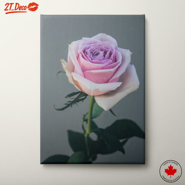 Delicate Pink Rose Floral Art