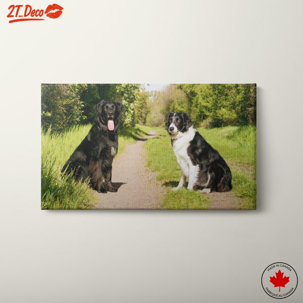 Two Playful Dogs in a Lush Outdoor Path