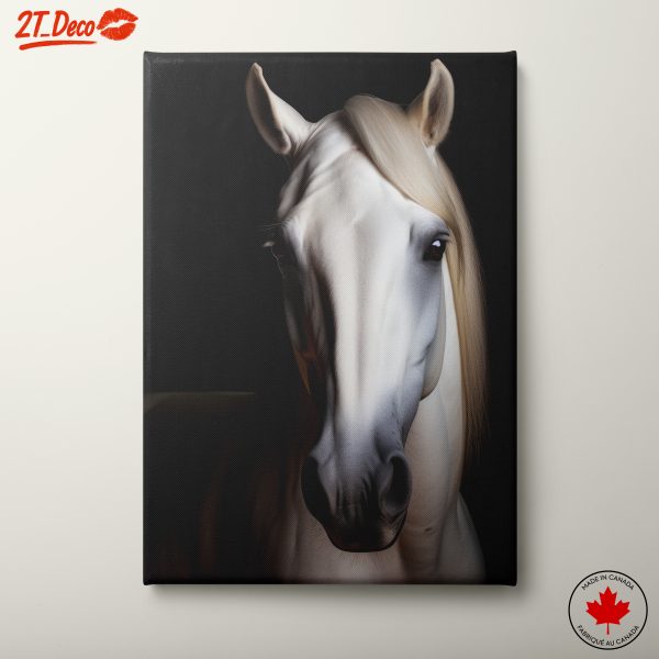 Majestic White Horse Portrait