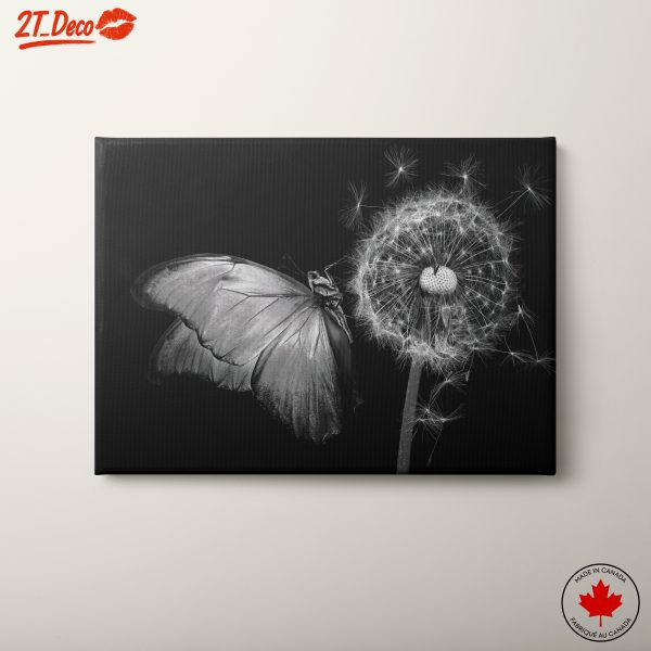 Elegant Black and White Butterfly on Dandelion