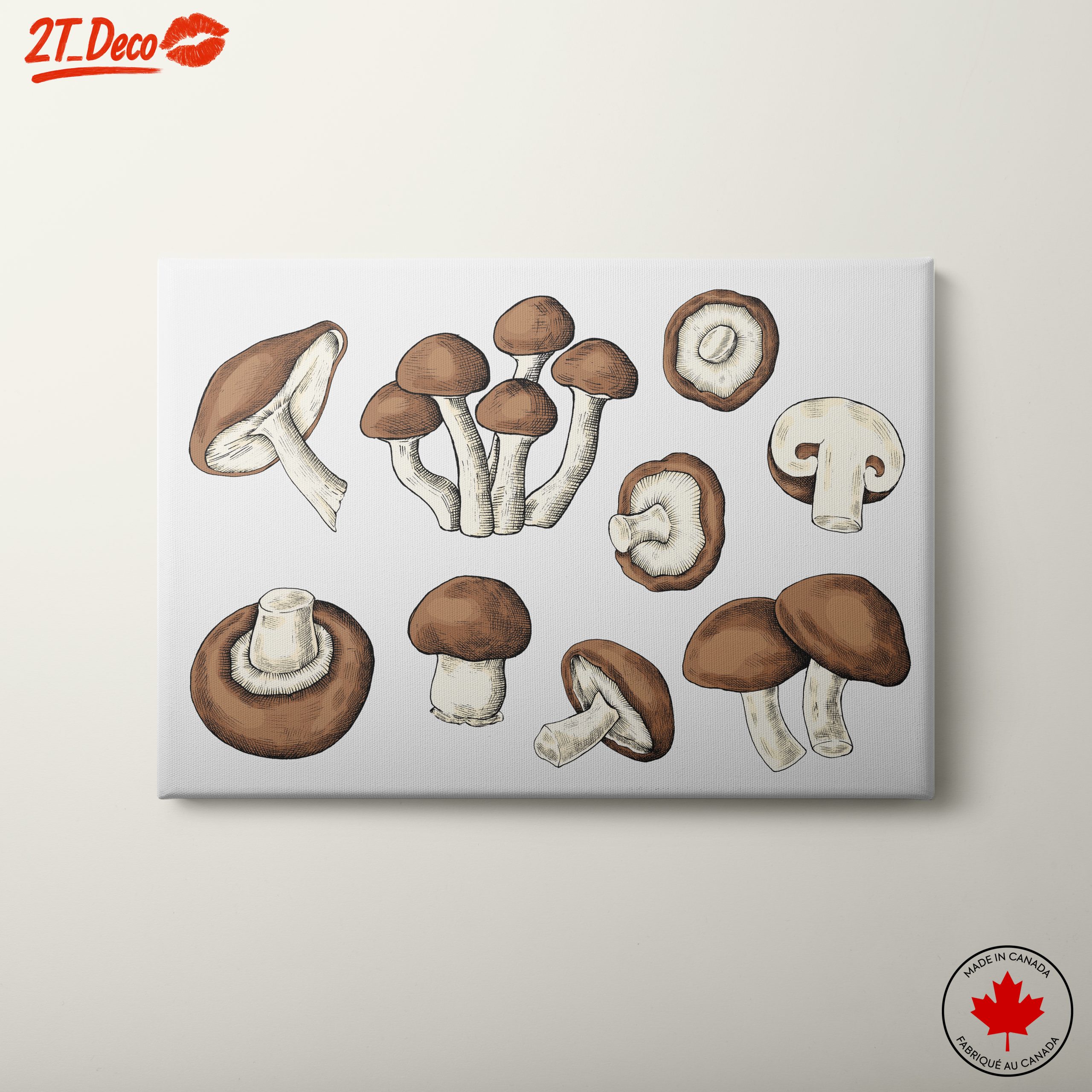 Artistic Botanical Mushroom Illustrations for Home Decor