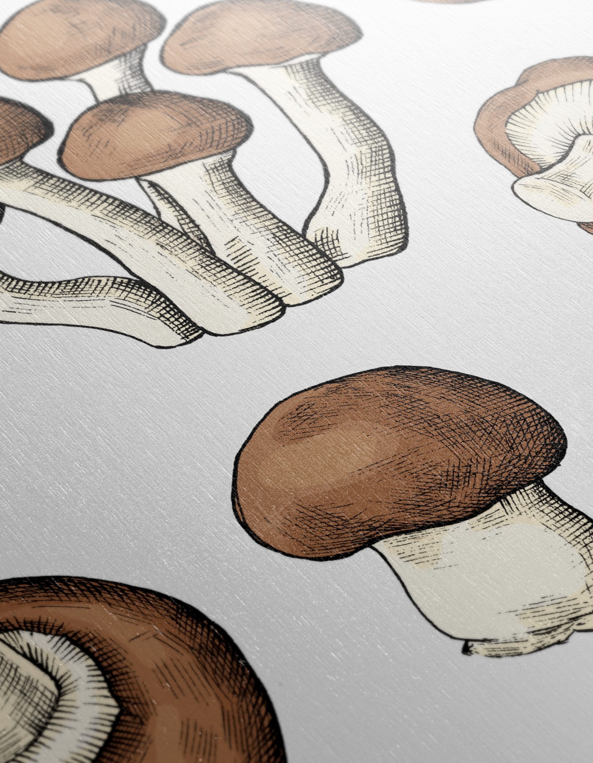 Artistic Botanical Mushroom Illustrations for Home Decor - Image 12