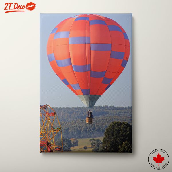 Colorful Hot Air Balloon in Scenic Landscape