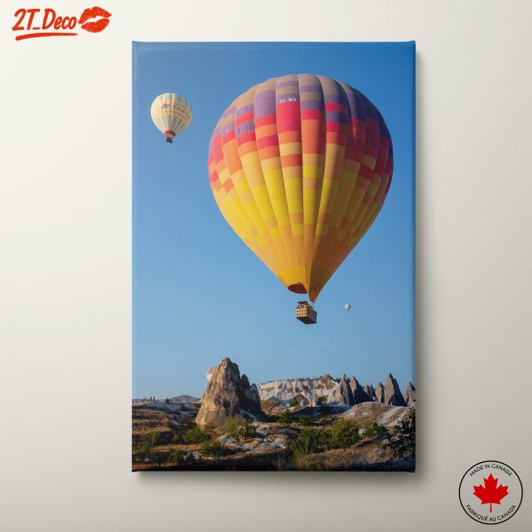 Colorful Hot Air Balloons Over Scenic Landscape