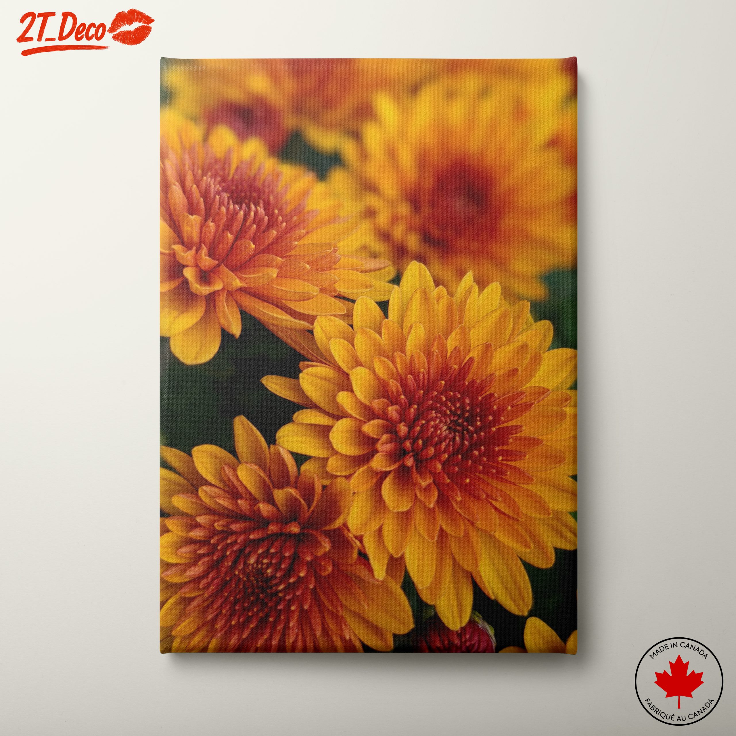 Vibrant Chrysanthemum Flowers in Bloom