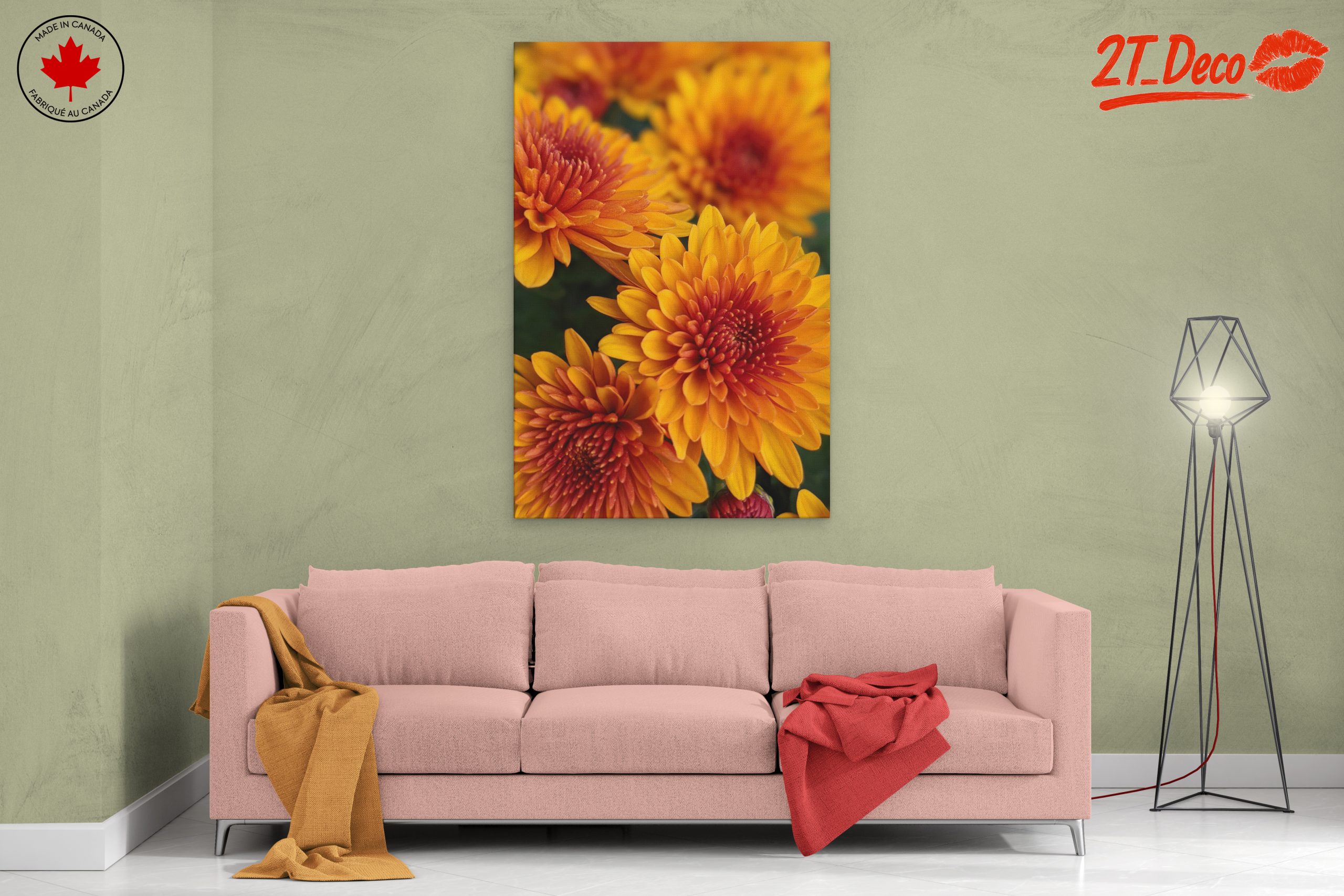 Vibrant Chrysanthemum Flowers in Bloom - Image 2