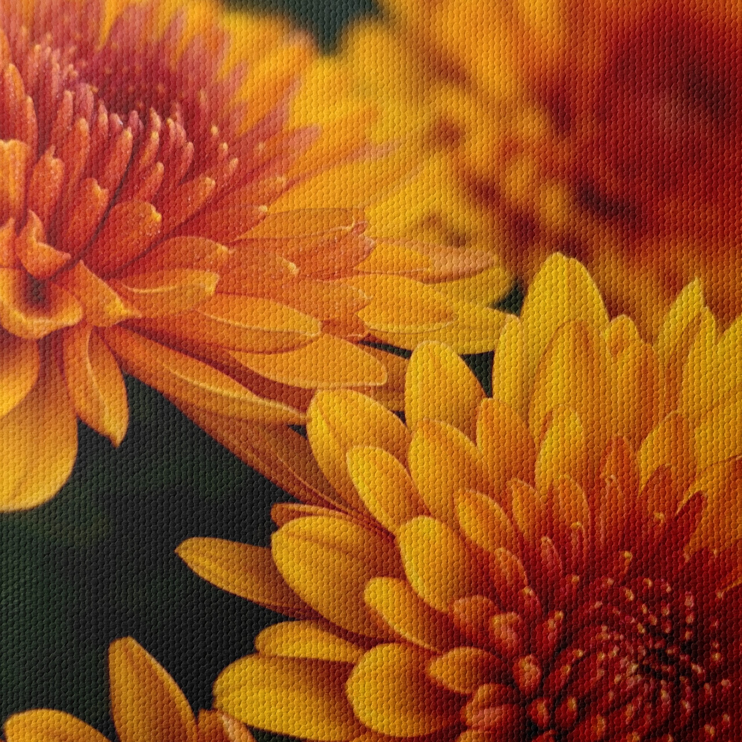 Vibrant Chrysanthemum Flowers in Bloom - Image 4