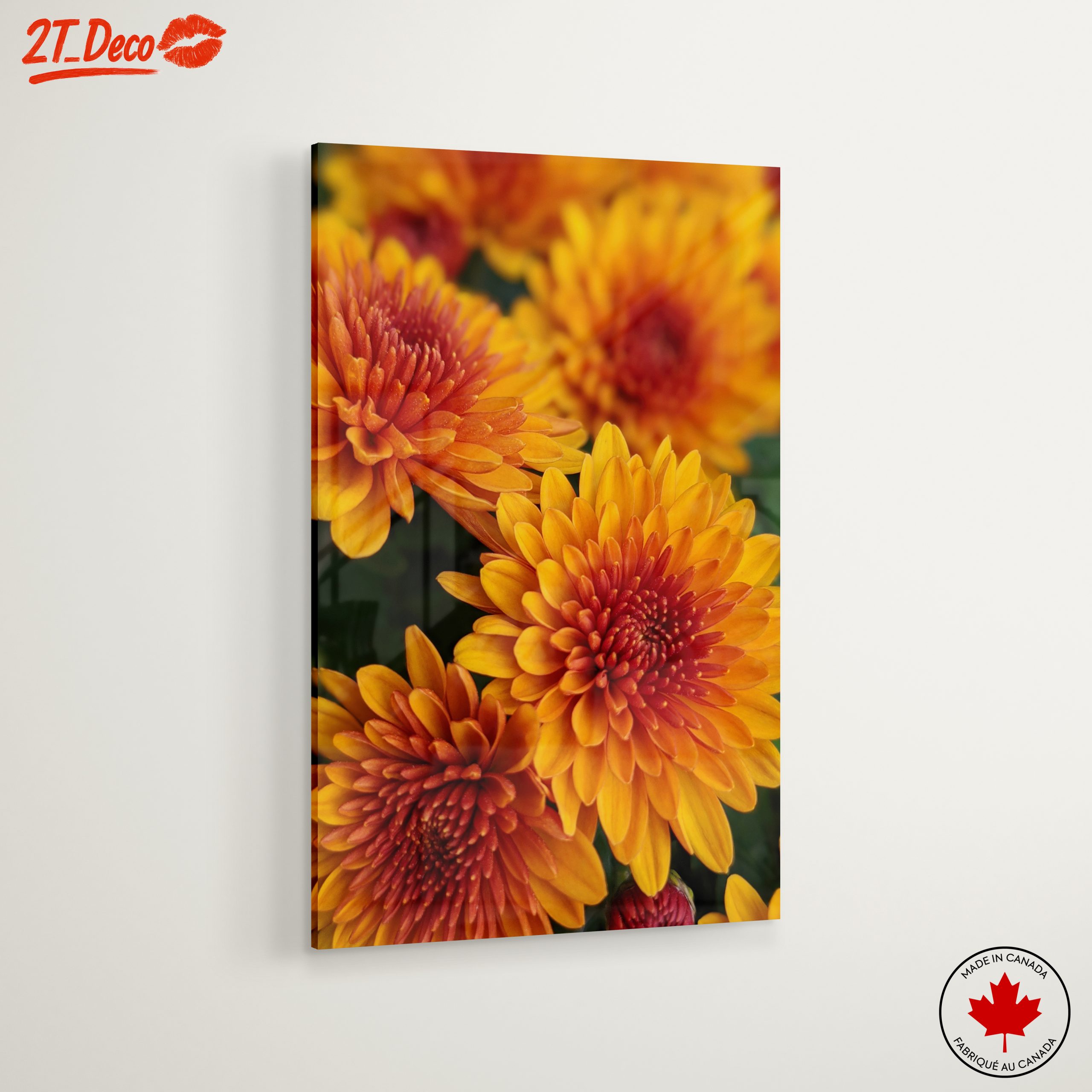 Vibrant Chrysanthemum Flowers in Bloom - Image 6