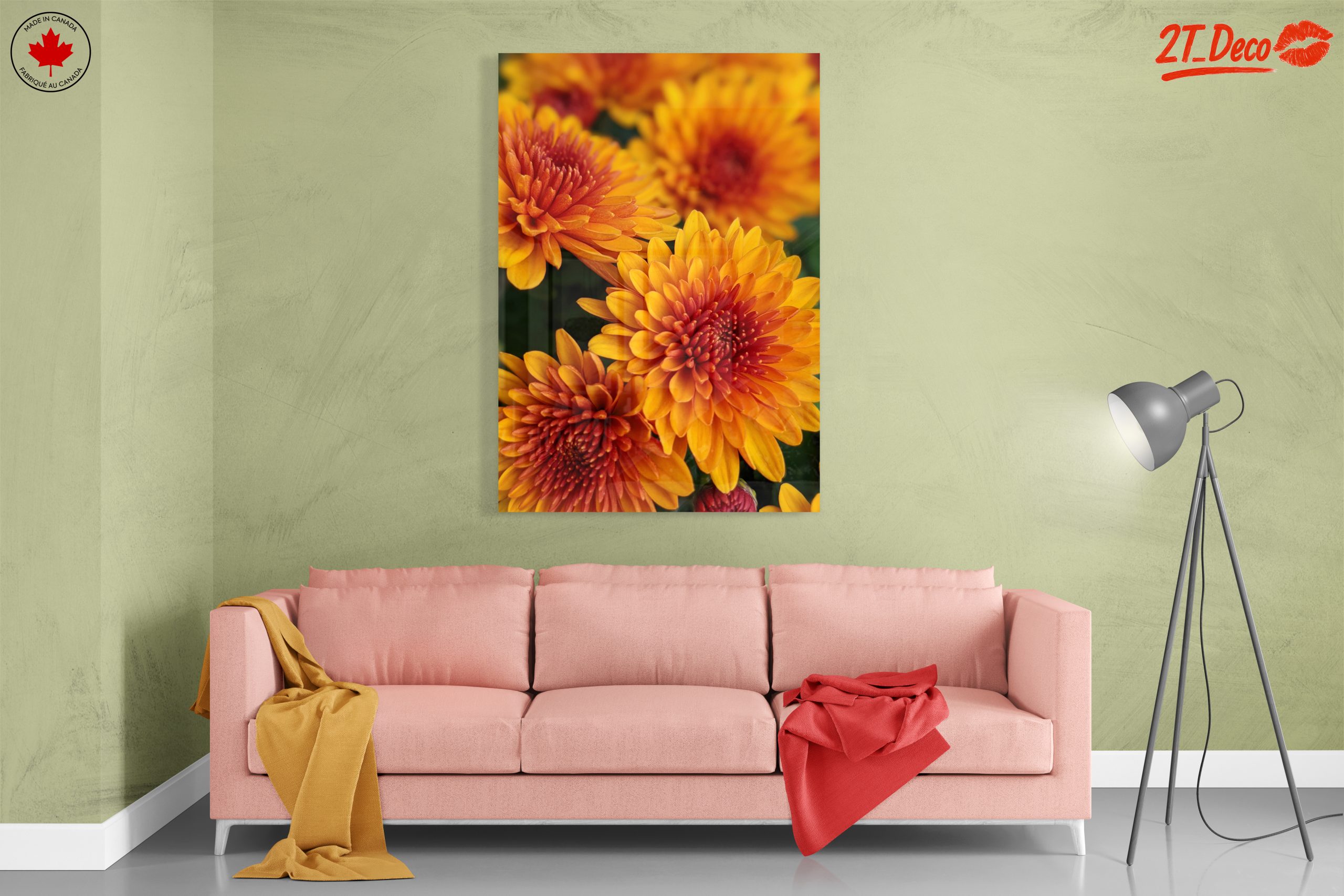 Vibrant Chrysanthemum Flowers in Bloom - Image 7
