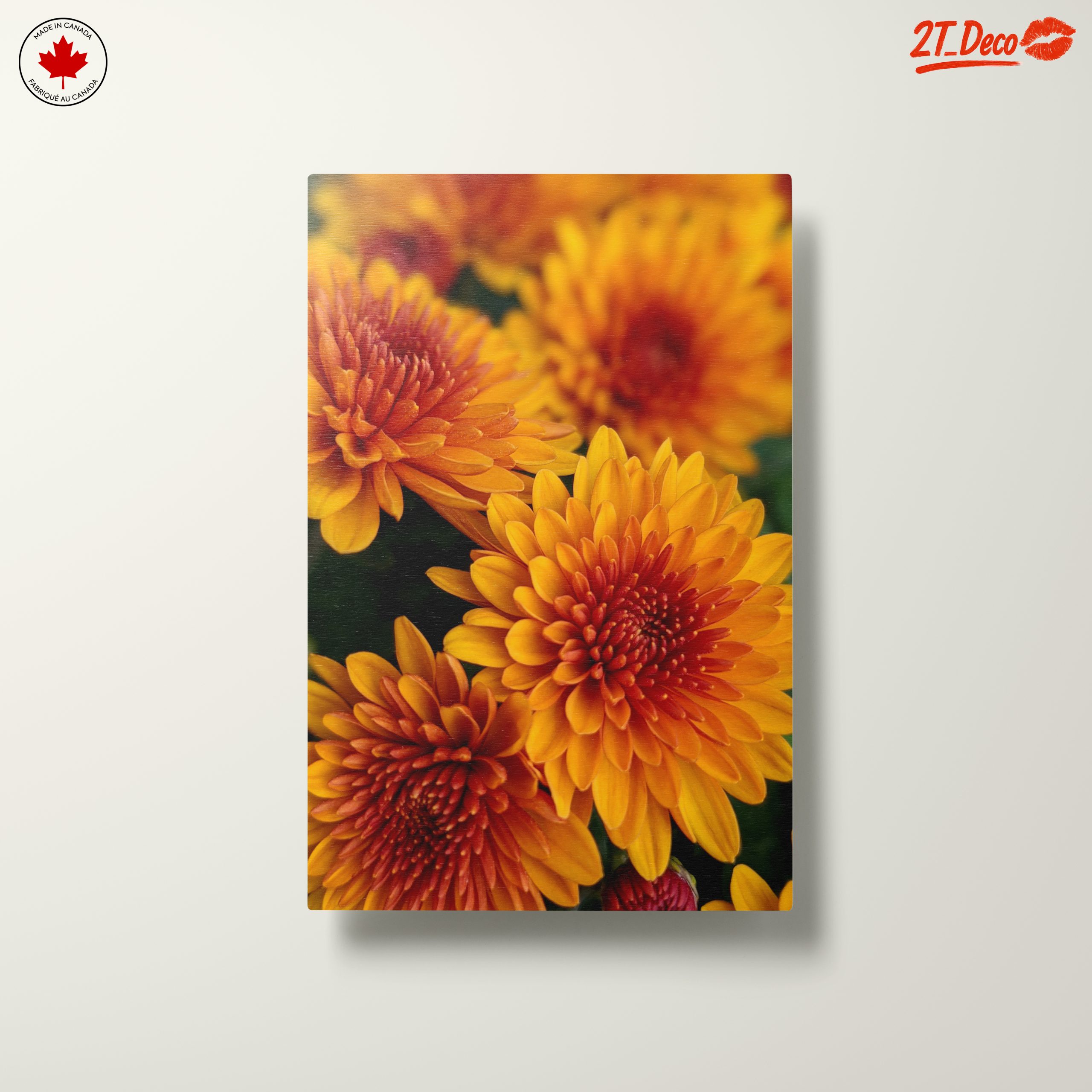 Vibrant Chrysanthemum Flowers in Bloom - Image 10