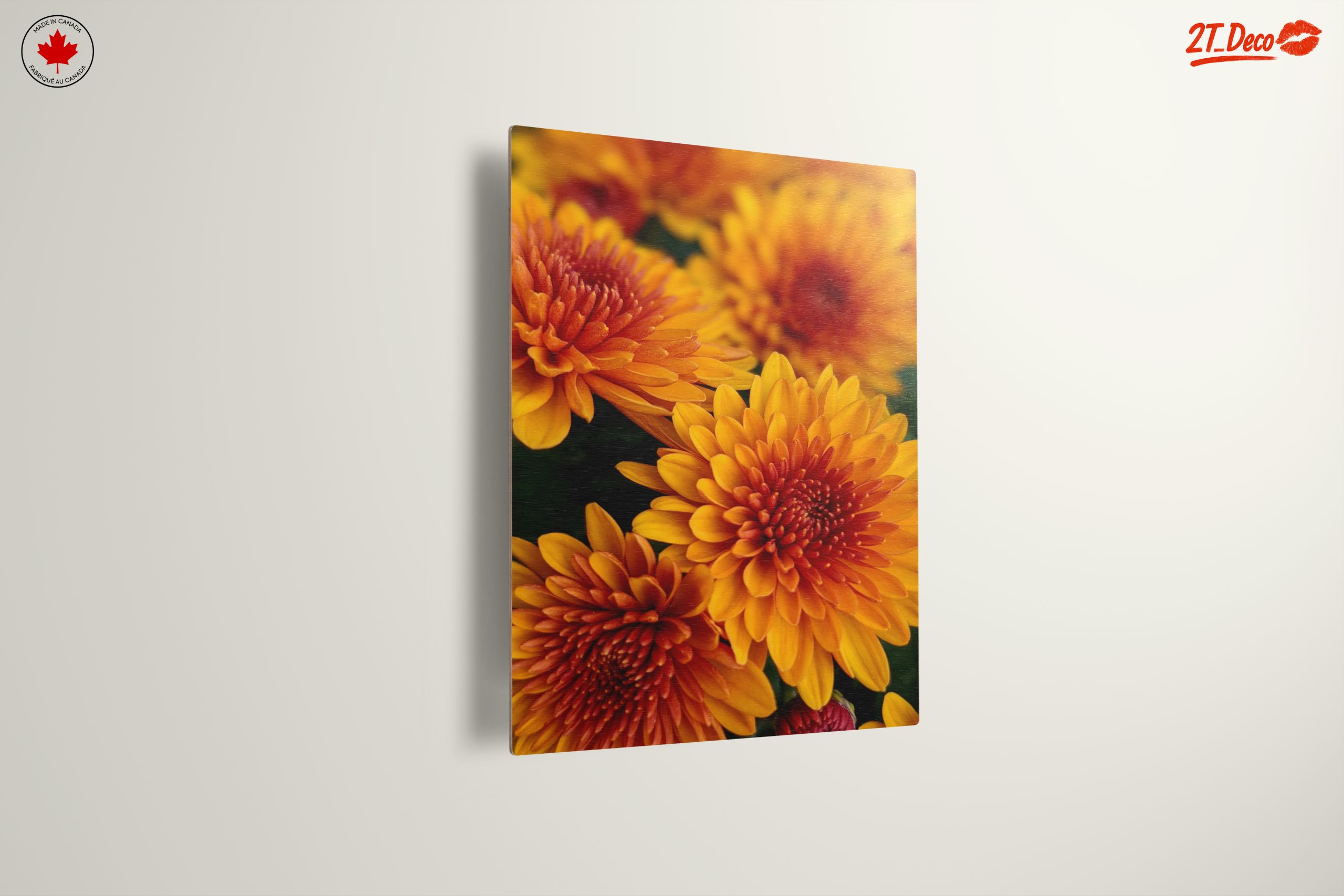 Vibrant Chrysanthemum Flowers in Bloom - Image 13