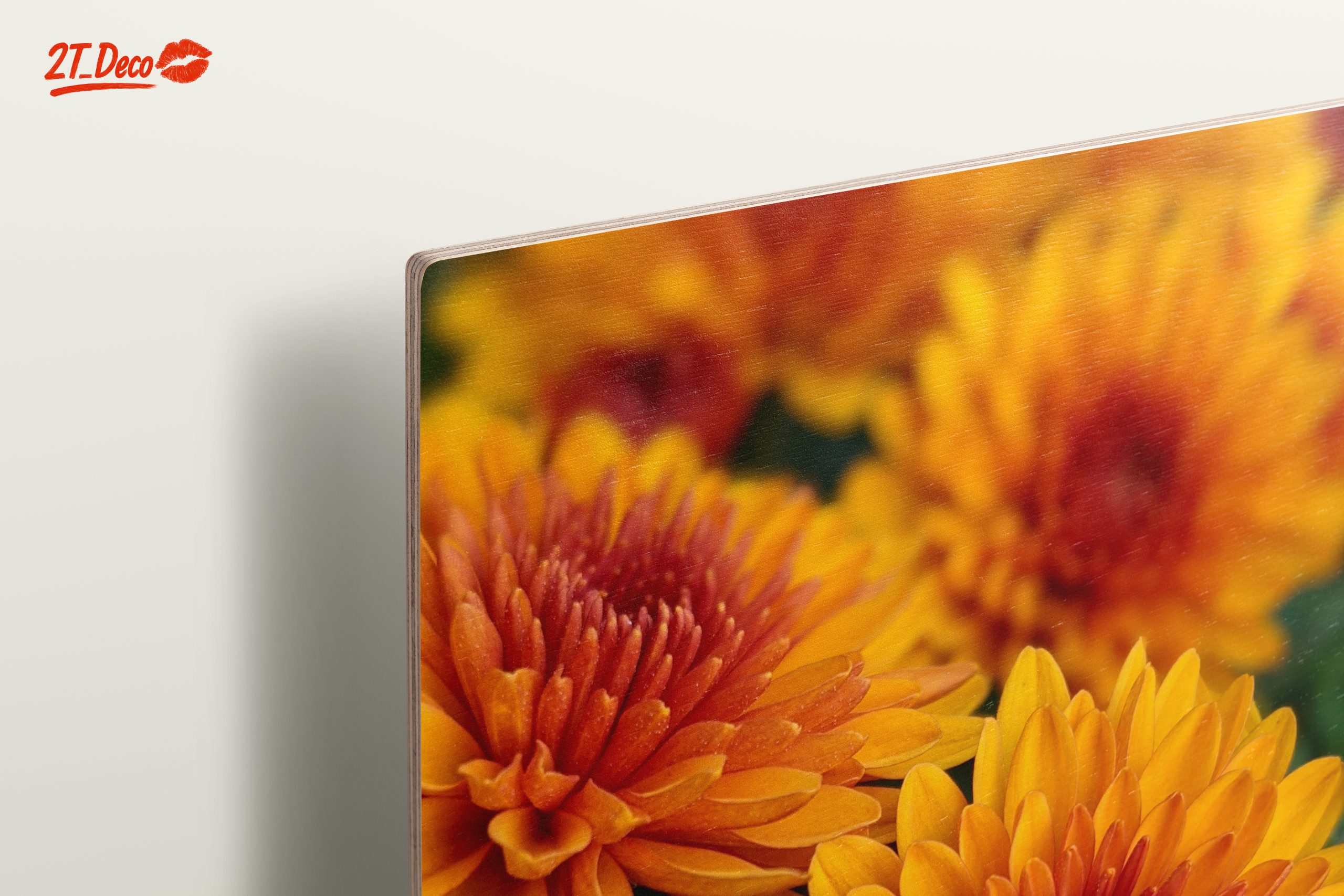 Vibrant Chrysanthemum Flowers in Bloom - Image 15