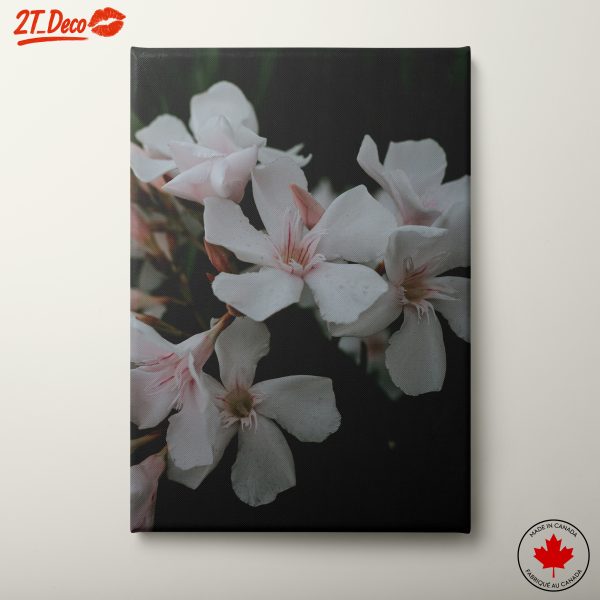 Delicate White Flowers in Bloom