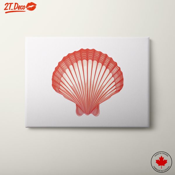 Stylized Abstract Shell Artwork 2
