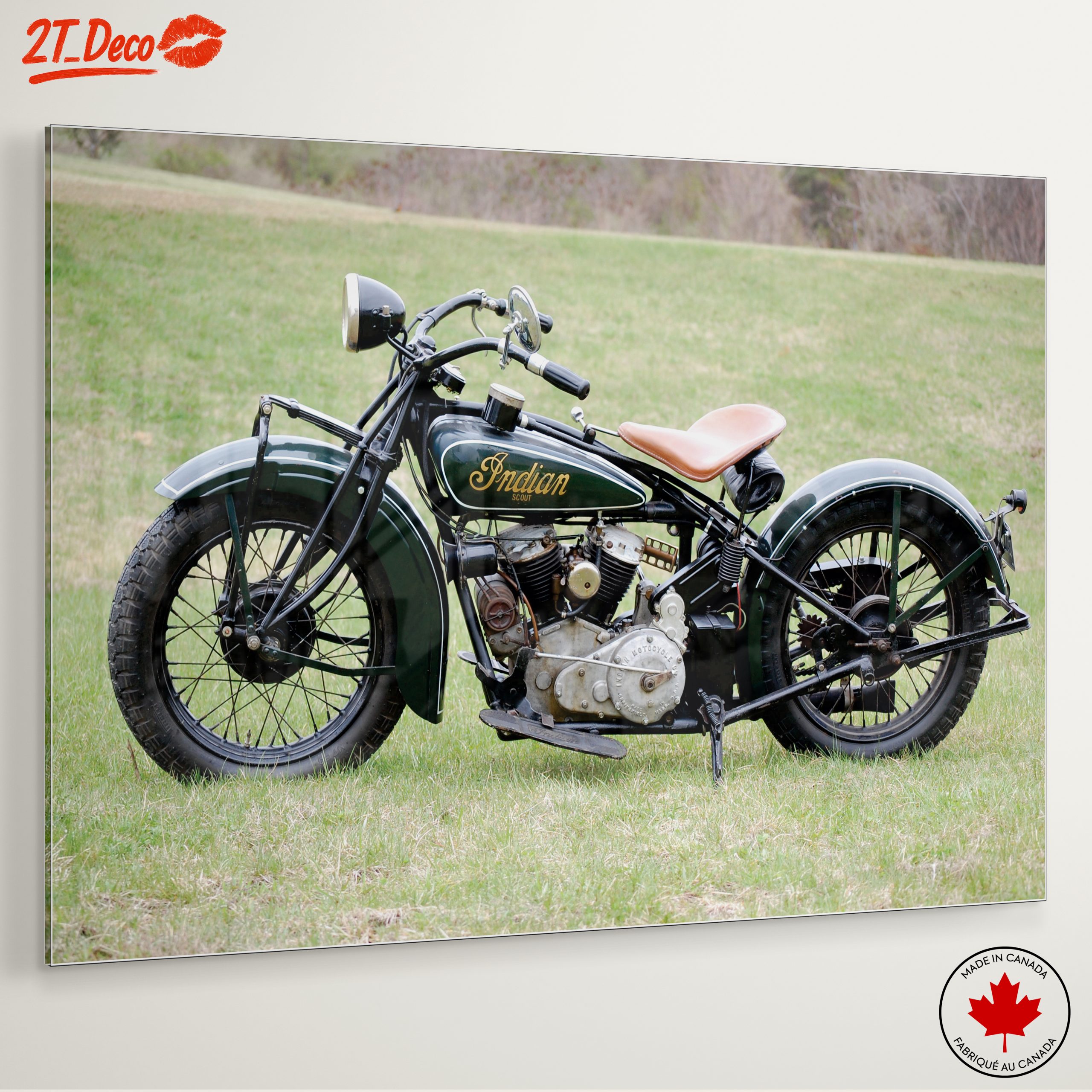 Classic Indian Motorcycle on Green Grass - Image 6