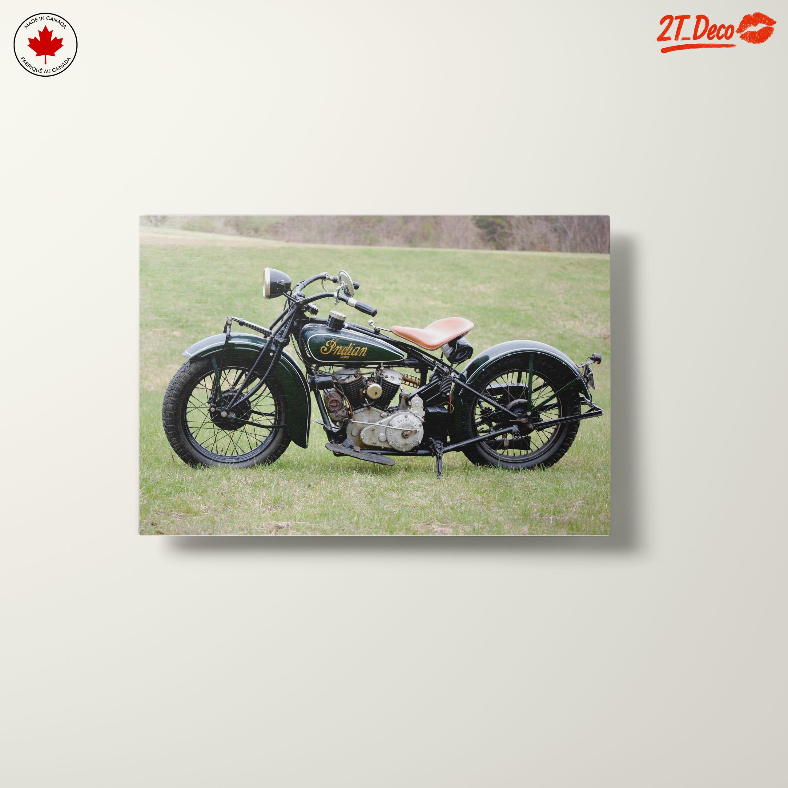 Classic Indian Motorcycle on Green Grass - Image 10